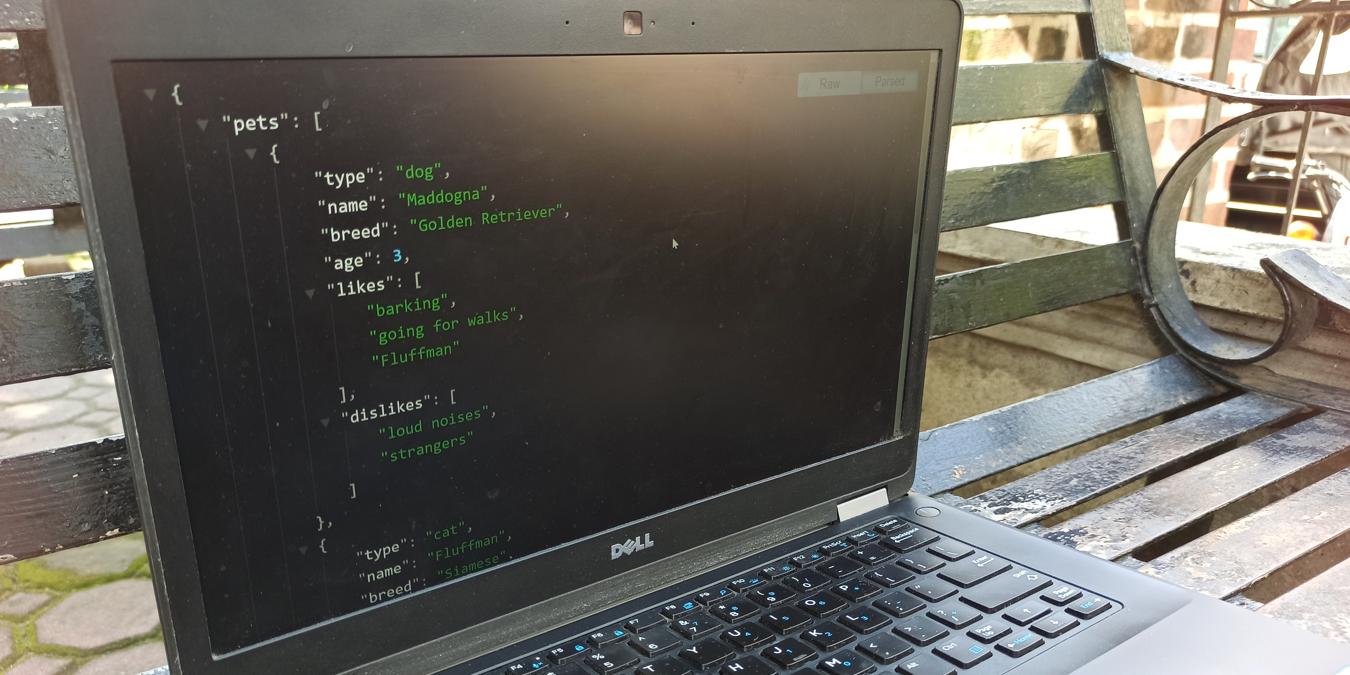 Laptop With Json Text On Chrome On A Bench Feature Image