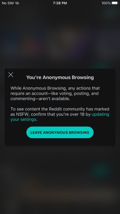 Leaving Anonymous Browsing In The Reddit App Min