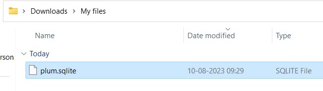 Pasting folder from File Explorer to new location.