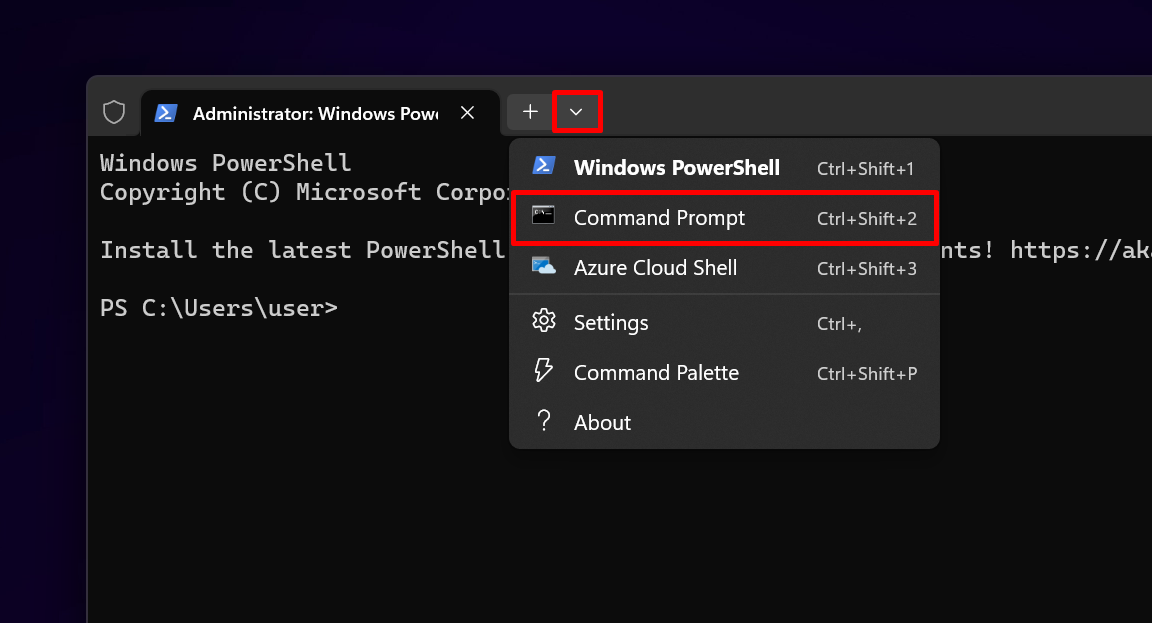 Switching to Command Prompt from Terminal app. 