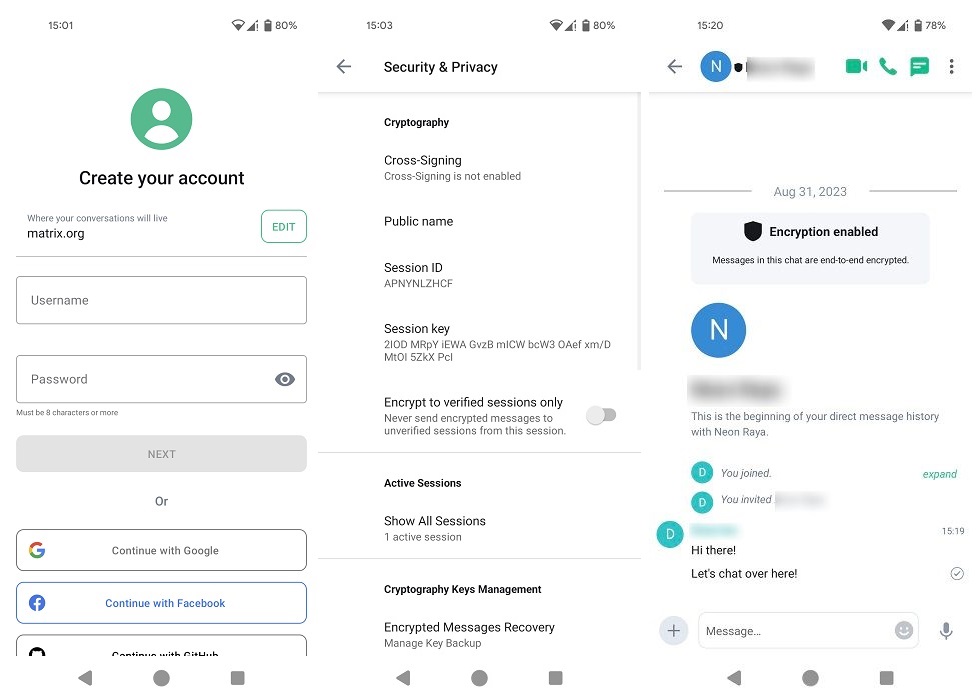 Element app interface overview.