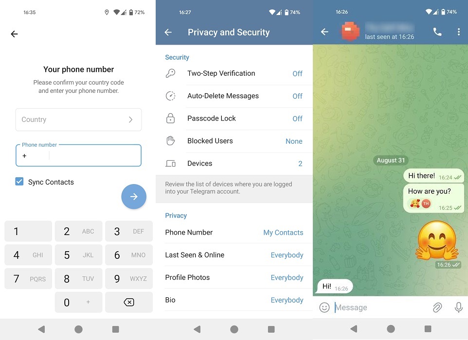 Telegram app interface overview.