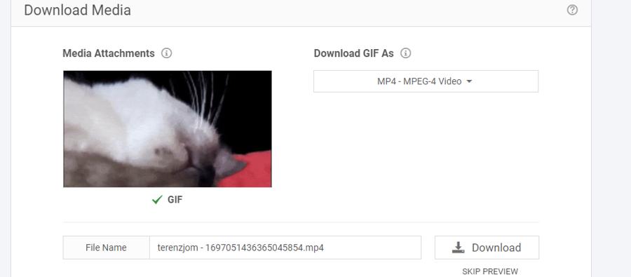 Red Ketchup Twitter Download Media Gif