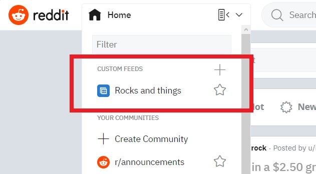 Access Custom Feed on Reddit