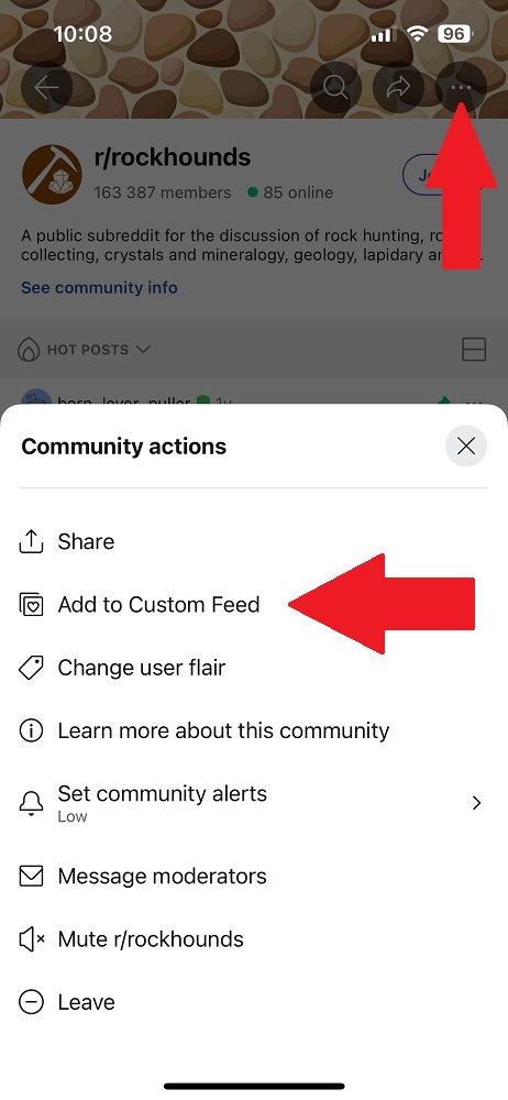 Community Menu on Reddit Mobile