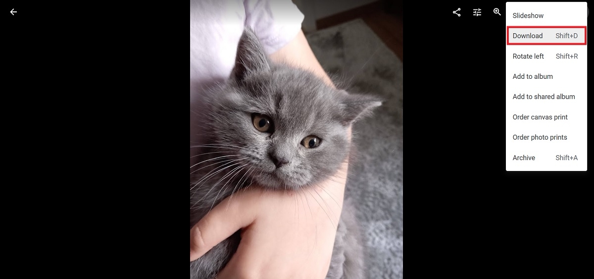 Selecting "Download" photo in Google Photos for web.
