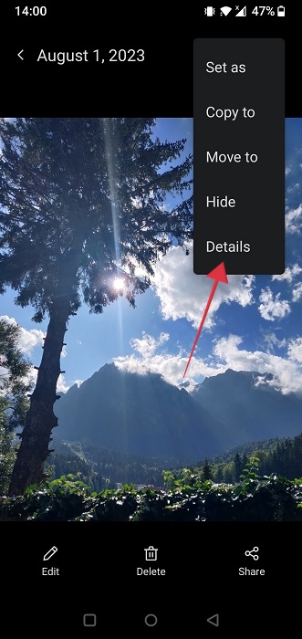 Selecting "Details" from the Gallery menu on Android.