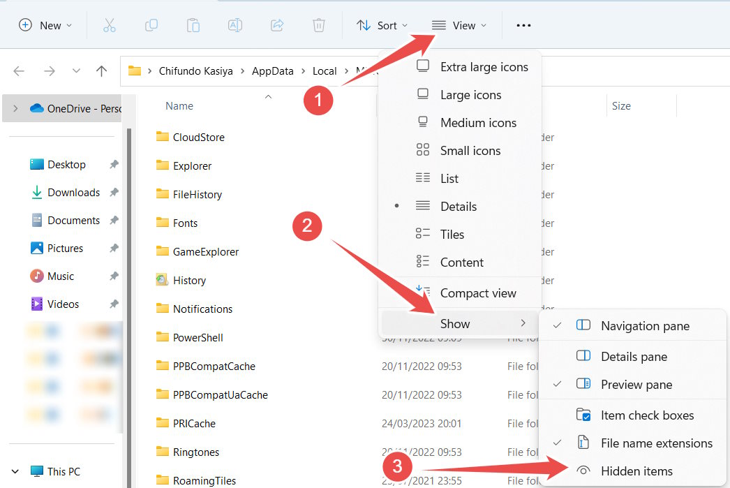 Revealing hidden items in File Explorer.