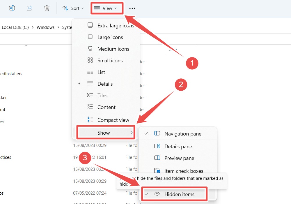 Revealing hidden items on Windows 11.