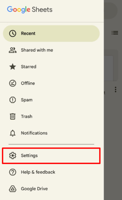Settings option in the Sheets app. 