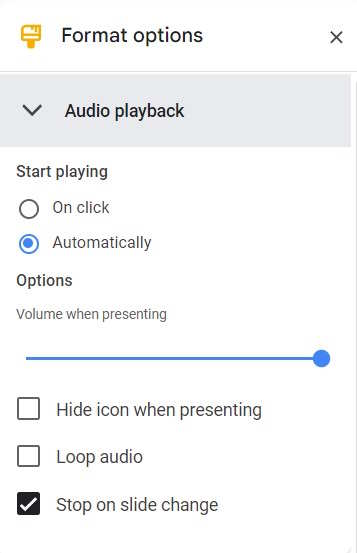The Audio Playback Section Of Format Options In Google Slides