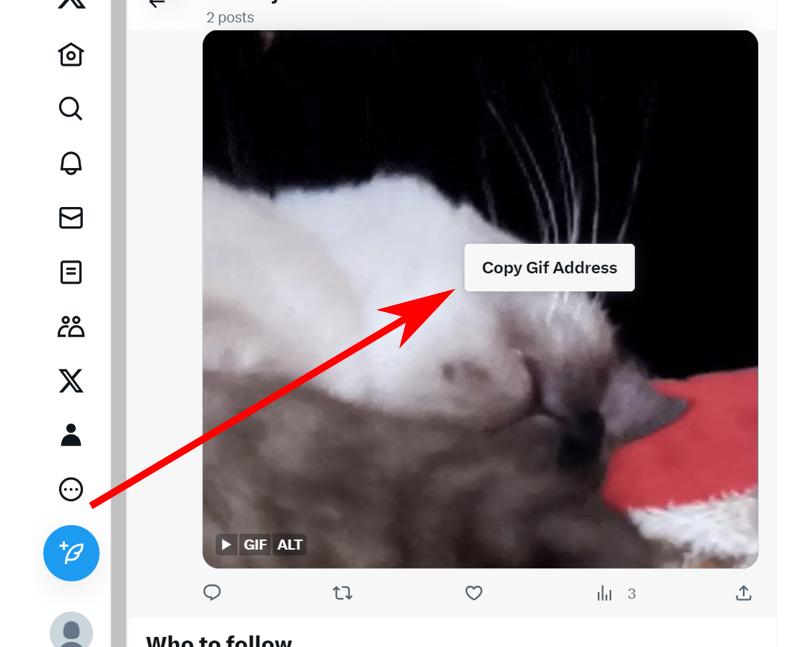 Twitter Copy Gif Address