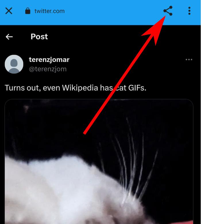 Twitter Lite Share Button