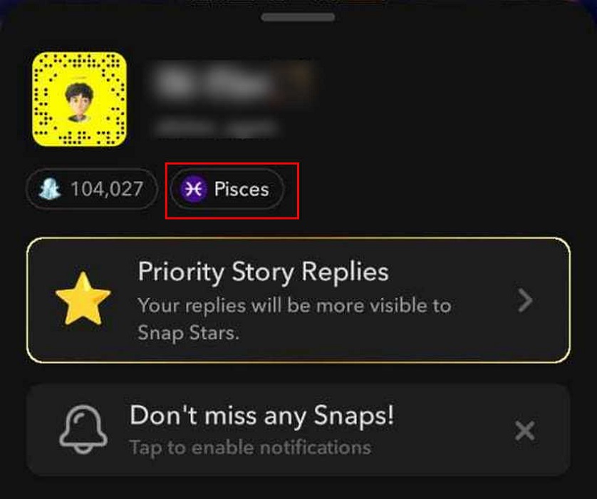 Pisces zodiac sign view in Snapchat in the user menu.