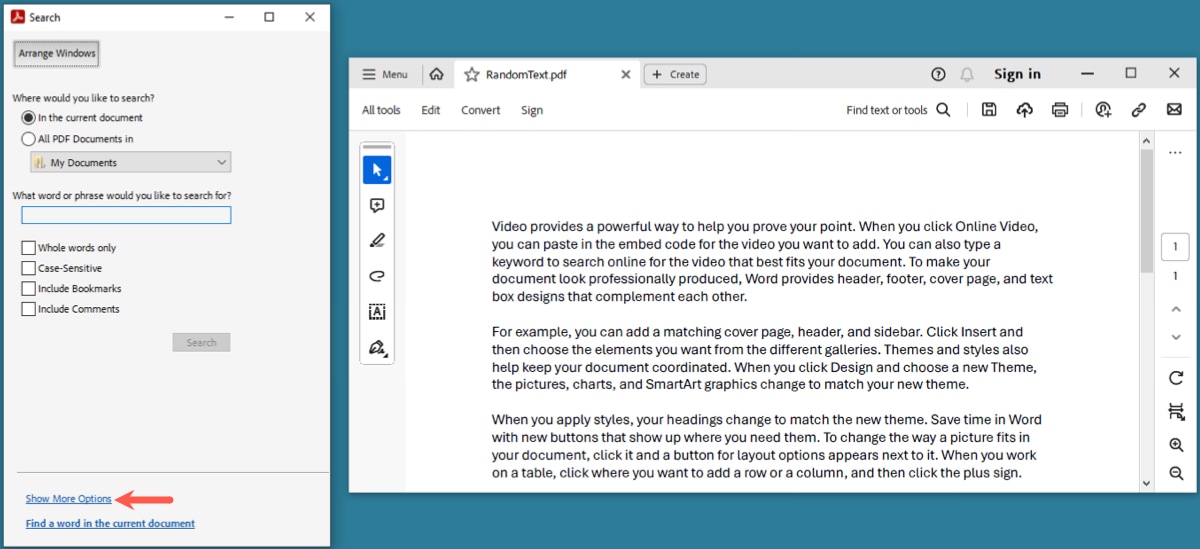 Search See More Options in the Adobe Search window