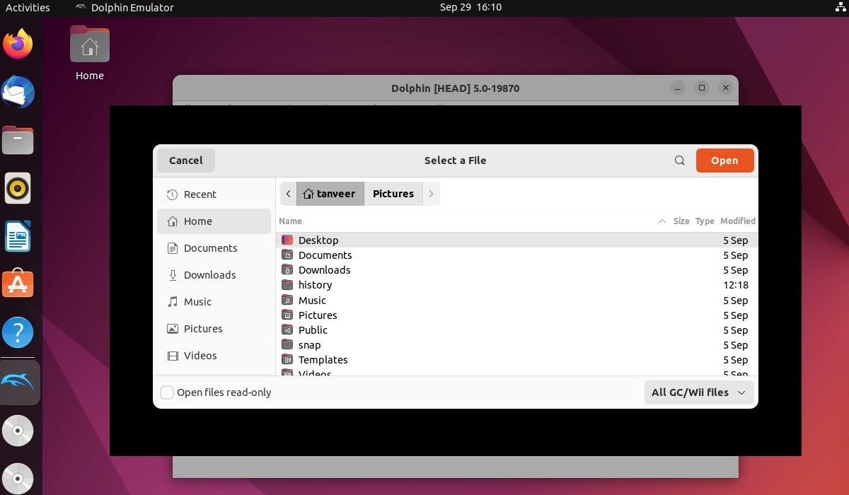 Best Retro Gaming Emulators Linux Dolphin