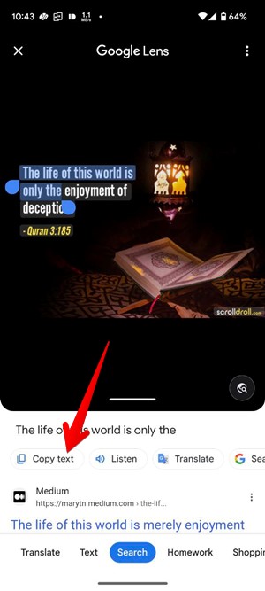 Tapping on "Copy text" option in Chrome app. 