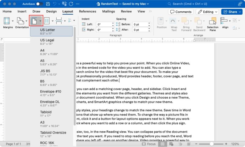 Size on the Layout tab in  Word on Mac