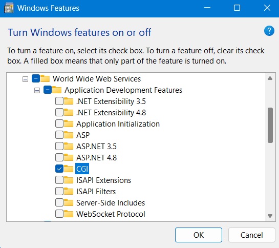 Enable CGI and application development features in Windows Features window.