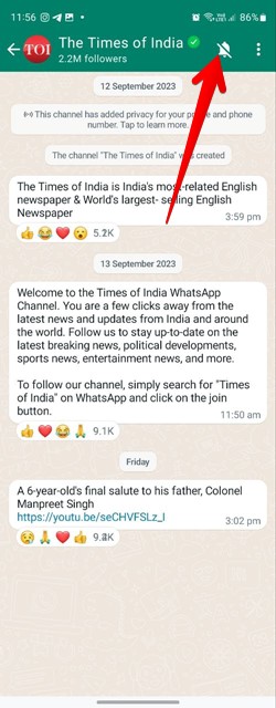 Unmute Whatsapp Channel
