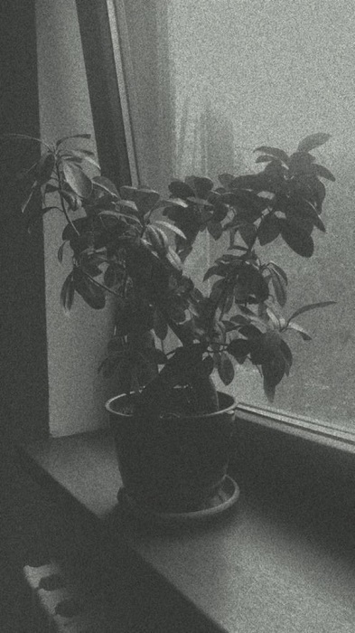 Best Instagram Filters Black White