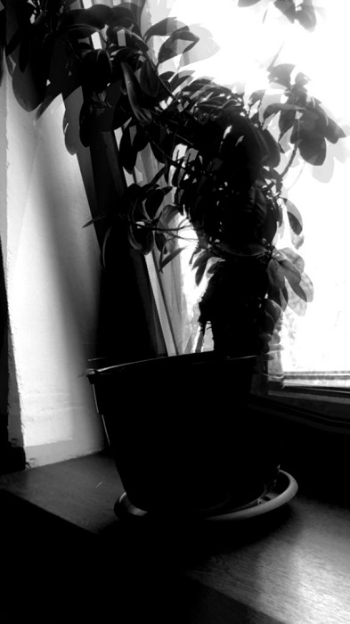 Broken Lights Instagram filter applied on photo. 