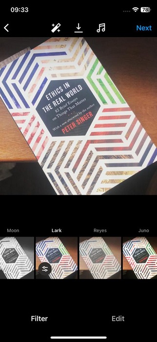 Lark Instagram filter applied on image.