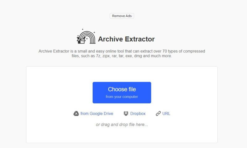 Choosing file options view in 123Apps Archive Extractor.