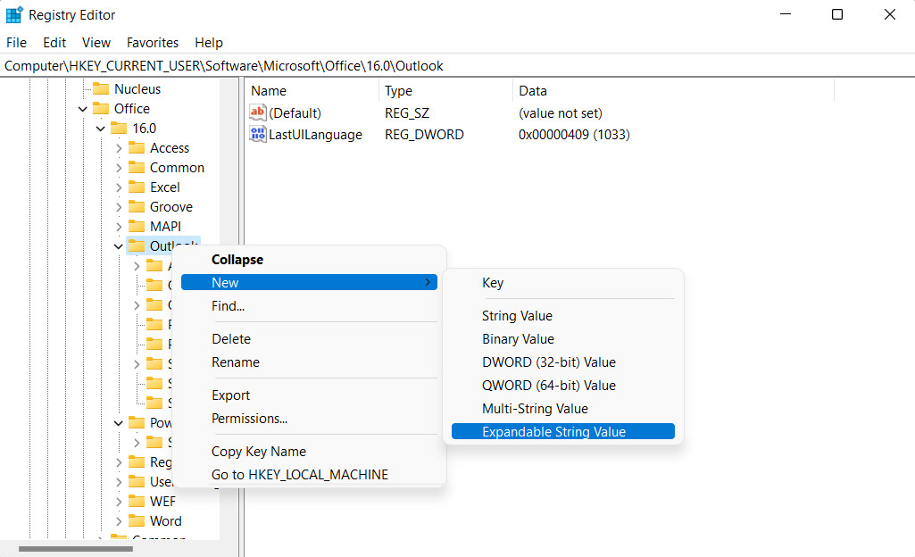 Creating Expandable String Value In Registry