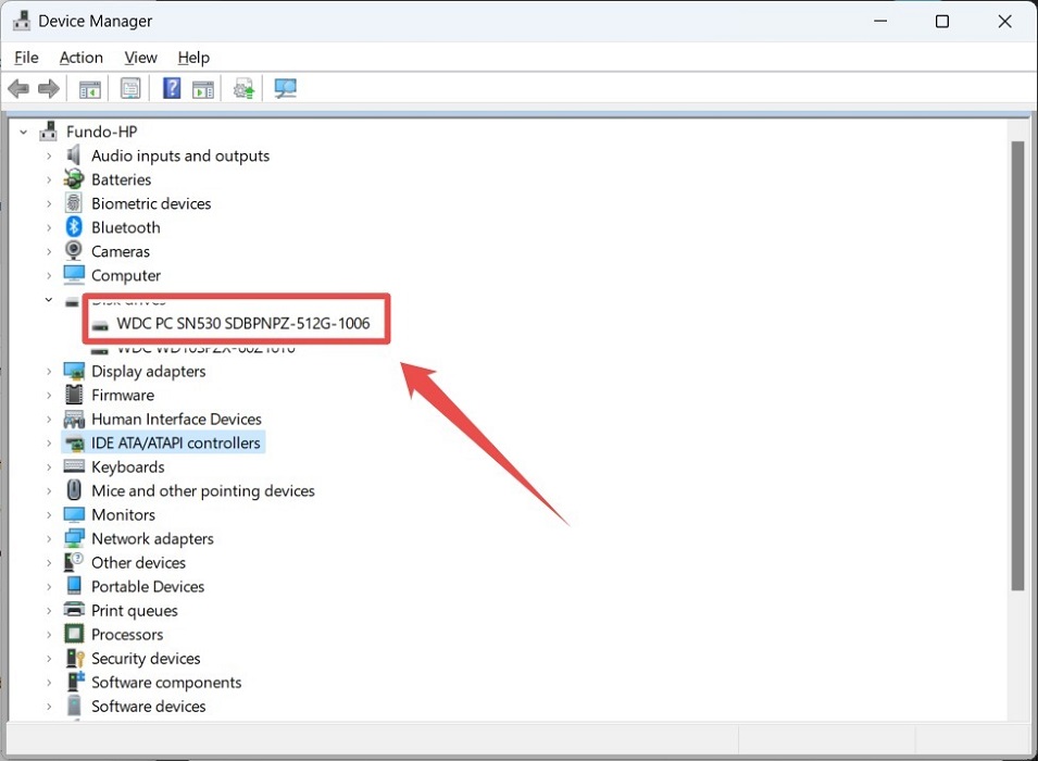 Clicking on SSD in Device Manager.
