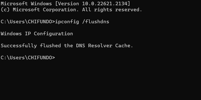 Flushing DNS success message in Command Prompt.
