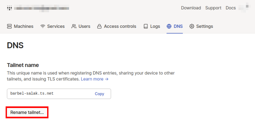 A screenshot highlighting the "Rename Tailnet" button.