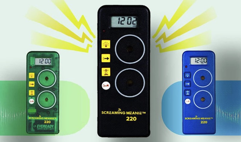 Screaming Meanie Promo Image