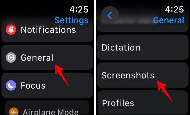 Got to Settings, General, Screenshots on Apple Watch.