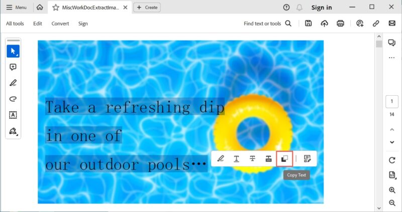 Copy Text in the toolbar in Adobe Acrobat Reader