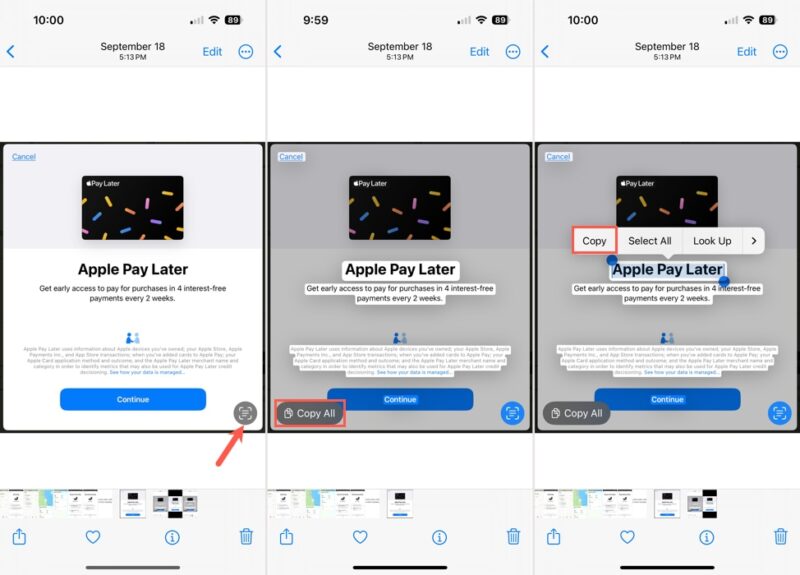 Copy Text in Photos on iPhone