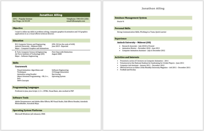 IT Professional Student Resume template for Word