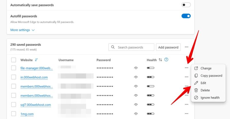 Editing passwords in Microsoft Edge browser on PC.