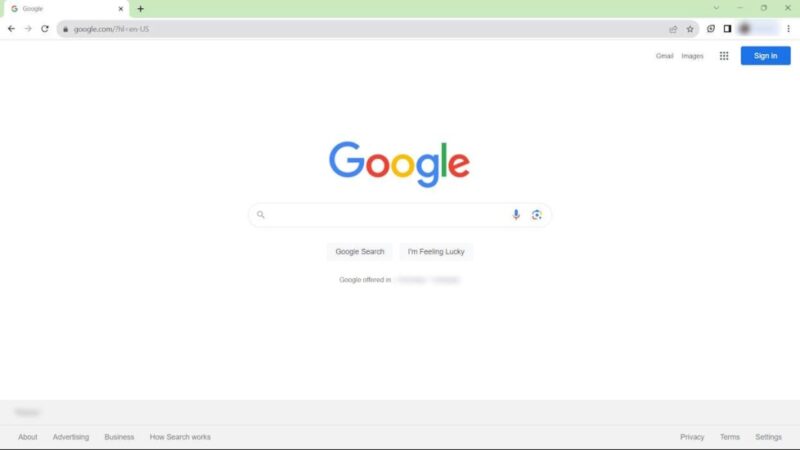Google Chrome homepage view.
