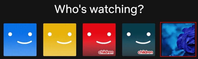 Custom Netflix Profile Picture Windows Who's Watching