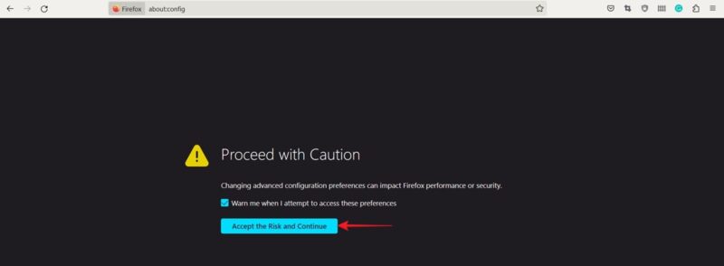 Clicking "Accept" button to override warning in Firefox.