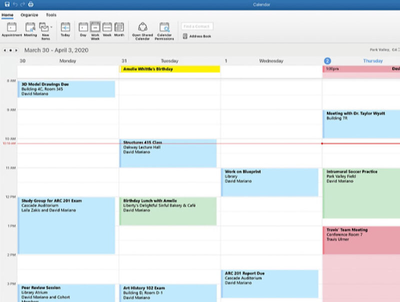 Microsoft Office Professional Calendar