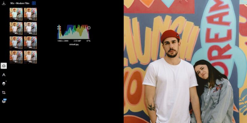 Online Photo Editor Polarr Histogram