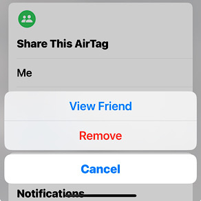 Share Airtags With Family Friends Remove Airtag