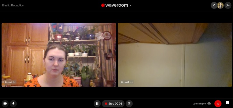 Sample of a meeting with two participants in Waveroom.