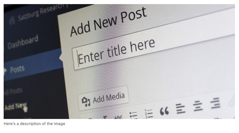 Wordpress Image Caption