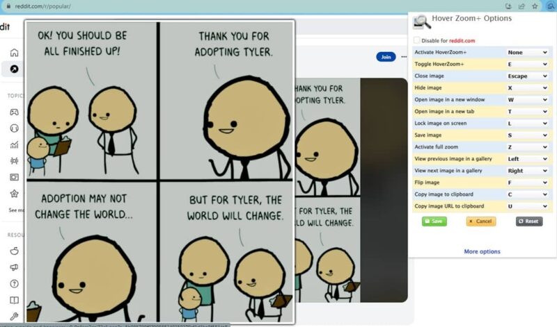 Using Hover Zoom plus, one of the best Chrome extensions for Reddit users, to view images larger.