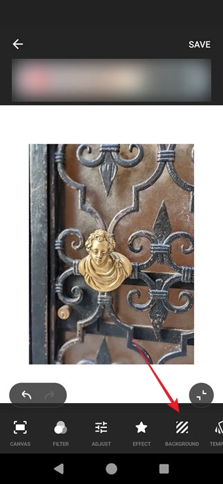 Tapping on "Background" option in Inshot app. 