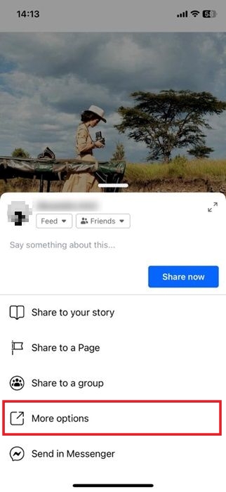 Tap on "More options" from Share menu in Facebook iOS app.