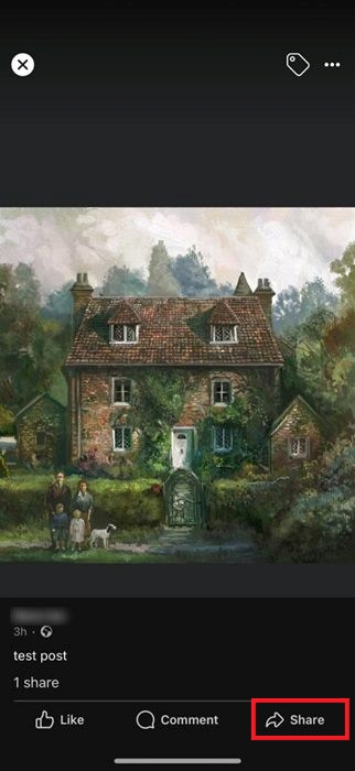 Share button visible in expanded post view in Facebook iOS app.